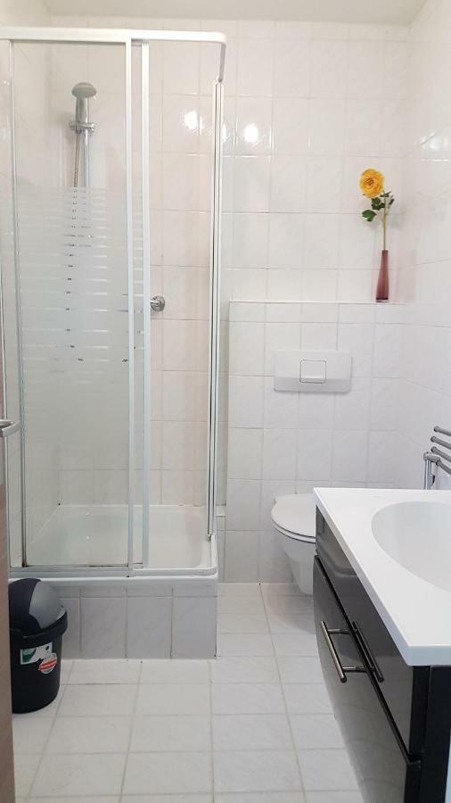 Flats-4U - Cosy, Quite & Clean Apartments In The City Bonn Exteriör bild